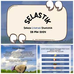 SeLaStik (28 May 2024 Edition)