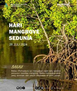 World Mangrove Day