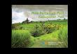 Paddy Agriculture Trends Of Pati Regency 2021