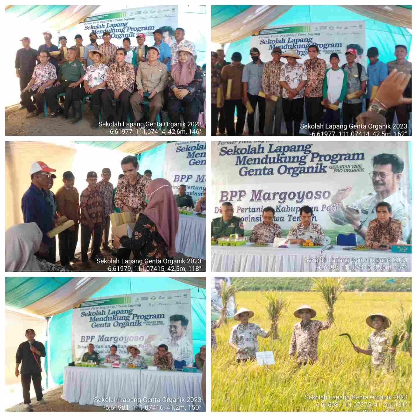 Farmer Field Day (FFD) Sekolah Lapang Genta Organik