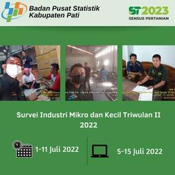 Pendataan Survei Industri Mikro dan Kecil Triwulan II 2022