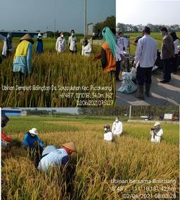 Paddy data collection with the Agricultural Environmental Research Institute