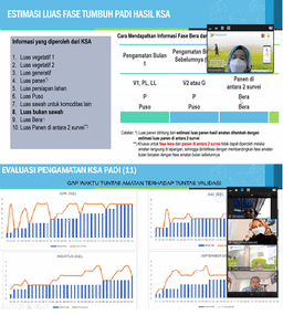 Pelatihan Petugas Survei KSA Padi dan Survei Ubinan 2021